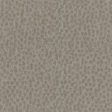 Shaw Floors Value Collections Lattice Net Ub Bronze 00761_E9469