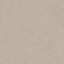 Shaw Floors Value Collections Luxuriant Net Whiskers 00161_E9470