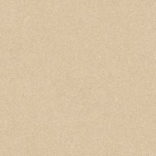 Shaw Floors Value Collections Luxuriant Net Timeless Ivory 00163_E9470