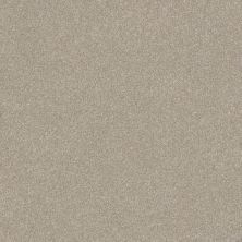 Shaw Floors Value Collections Luxuriant Net Smoke Signal 00170_E9470