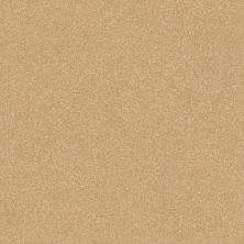 Shaw Floors Value Collections Luxuriant Net Popsicle Stick 00260_E9470