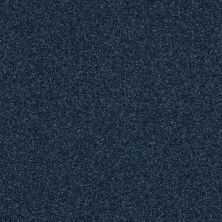 Shaw Floors Value Collections Luxuriant Net Riptide 00461_E9470