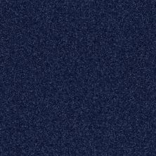 Shaw Floors Value Collections Luxuriant Net Sail Fish 00462_E9470