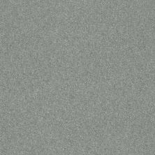 Shaw Floors Value Collections Luxuriant Net Essence Of Spring 00470_E9470