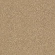 Shaw Floors Value Collections Luxuriant Net Summer Suede 00760_E9470