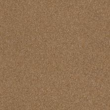 Shaw Floors Value Collections Luxuriant Net Burnt Ivory 00761_E9470