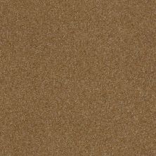 Shaw Floors Value Collections Luxuriant Net Sienna 00762_E9470