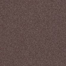 Shaw Floors Value Collections Luxuriant Net Raven 00961_E9470