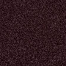 Shaw Floors Value Collections Luxuriant Net Passionate Plum 00962_E9470