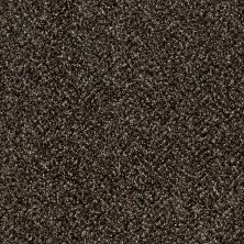 Shaw Floors You Can Do It I 12' River Rock