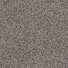 Shaw Floors You Can Do It I 15′ Alaskan Air 00500_E9505
