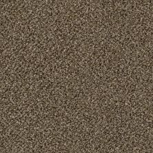 Shaw Floors You Can Do It I 15′ Pinecone 00701_E9505