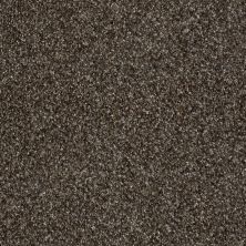Shaw Floors You Can Do It II 12′ Mystic River 00703_E9506
