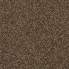 Shaw Floors You Can Do It II 15' Raw Sienna