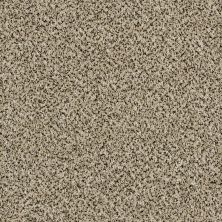 Shaw Floors You Can Do It III 15′ Ivory Coast 00101_E9509