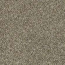 Shaw Floors You Can Do It III 15′ Cape Town 00102_E9509