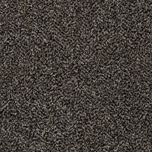 Shaw Floors Work Your Magic Black Granite 00503_E9517