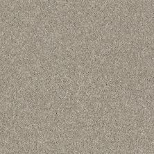 Shaw Floors Value Collections Virtual Gloss Net Morning Dew 00116_E9570