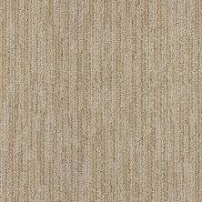 Shaw Floors Value Collections Highlighter Net Ale