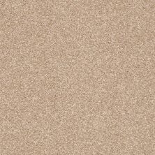 Shaw Floors Simply The Best Super Buy 45 Golden Sands 00102_E9599