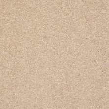Shaw Floors Simply The Best Super Buy 55 Ivory 00101_E9600