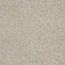 Shaw Floors Value Collections 300sl 12′ Net Sand Crystal 00120_E9609