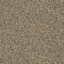 Shaw Floors Value Collections 300sl 12′ Net Lioness 00220_E9609