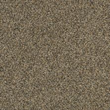 Shaw Floors Value Collections 300sl 12′ Net Vintage Brass 00221_E9609