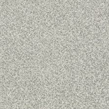Shaw Floors Value Collections 300sl 12′ Net Sea Glass 00320_E9609