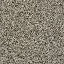 Shaw Floors Value Collections 300sl 12′ Net Pleasant Valley 00720_E9609