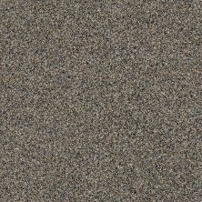 Shaw Floors Value Collections 300sl 12′ Net Serenity 00723_E9609