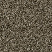 Shaw Floors Value Collections 300sl 12′ Net Tree Swing 00724_E9609