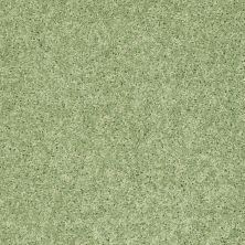Shaw Floors Value Collections Kid Crossing Net Limeade 00330_E9614