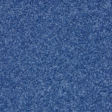 Shaw Floors Value Collections Kid Crossing Net Cobalt Vibe 00431_E9614