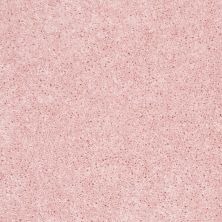 Shaw Floors Value Collections Kid Crossing Net Pink Flamingo 00830_E9614