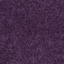 Shaw Floors Value Collections Kid Crossing Net Grape Jelly 00931_E9614