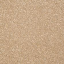Shaw Floors Value Collections Passageway II 15 Net Silk 00104_E9621
