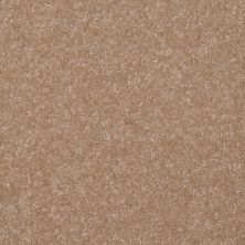 Shaw Floors Value Collections Passageway II 15 Net Muffin 00106_E9621