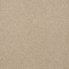 Shaw Floors Value Collections Passageway II 15 Net Linen 00107_E9621
