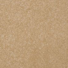 Shaw Floors Value Collections Passageway II 15 Net Butter 00200_E9621