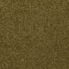 Shaw Floors Value Collections Passageway II 15 Net Green Apple 00303_E9621