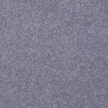Shaw Floors Value Collections Passageway II 15 Net Periwinkle 00408_E9621