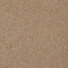 Shaw Floors Value Collections Passageway II 15 Net Sea Grass 00700_E9621