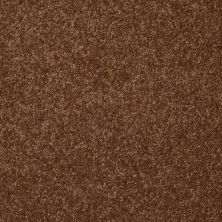 Shaw Floors Value Collections Passageway II 15 Net Toasty 00710_E9621