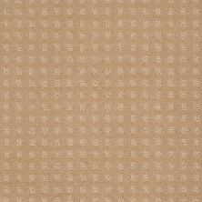Shaw Floors Wolverine Vii Natural Grain 00103_E9622