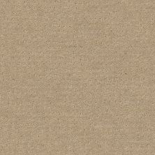 Shaw Floors Wolverine Vii Espresso 00192_E9622