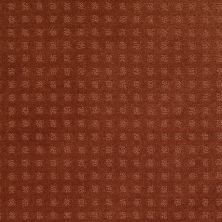 Shaw Floors Wolverine Vii Aged Copper 00600_E9622
