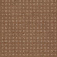 Shaw Floors Wolverine Vii Townhouse Taupe 00705_E9622