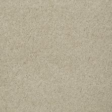 Shaw Floors Value Collections My Choice I Net French Linen