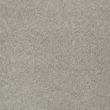 Shaw Floors Value Collections My Choice I Net Textured Canvas